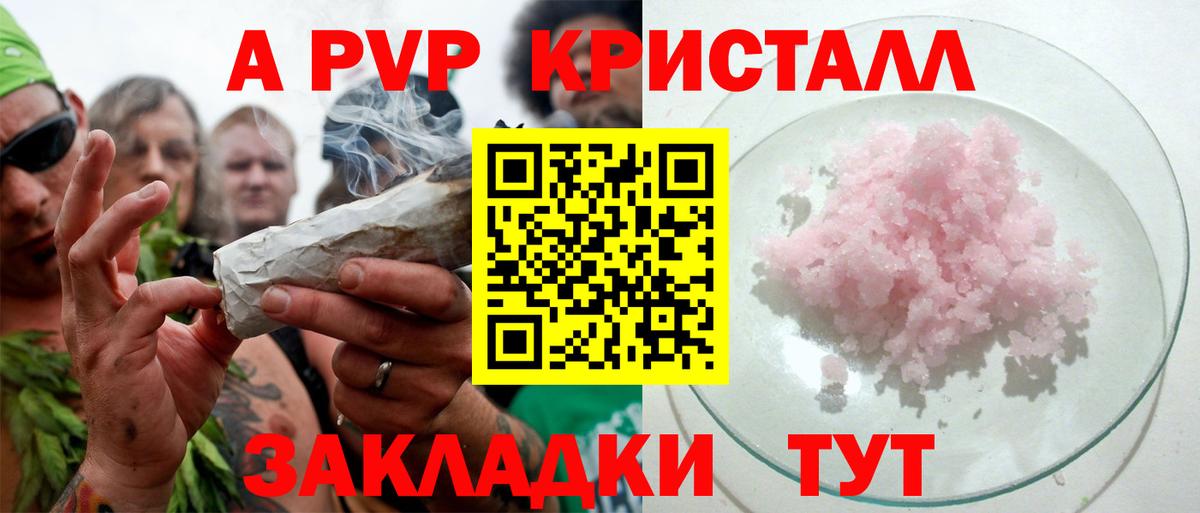 Alfa_PVP СК Котовск