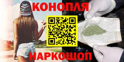 прущие крисы Кингисепп