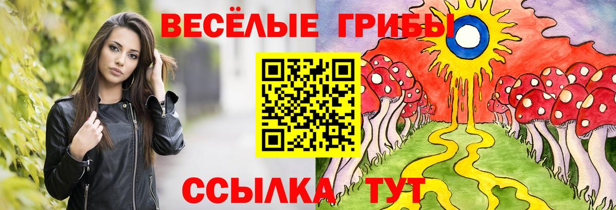 Галлюциногенные грибы GOLDEN TEACHER Котовск