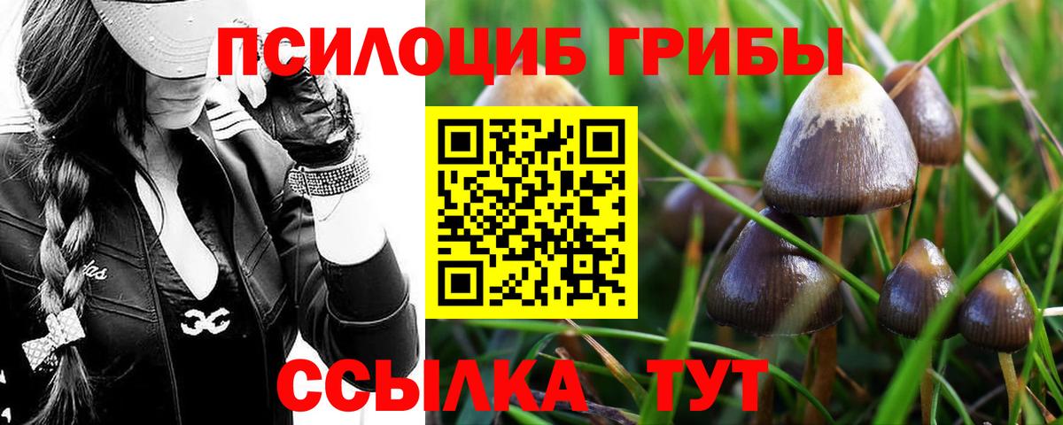Псилоцибиновые грибы прущие грибы  Вход с VPN  Котовск 